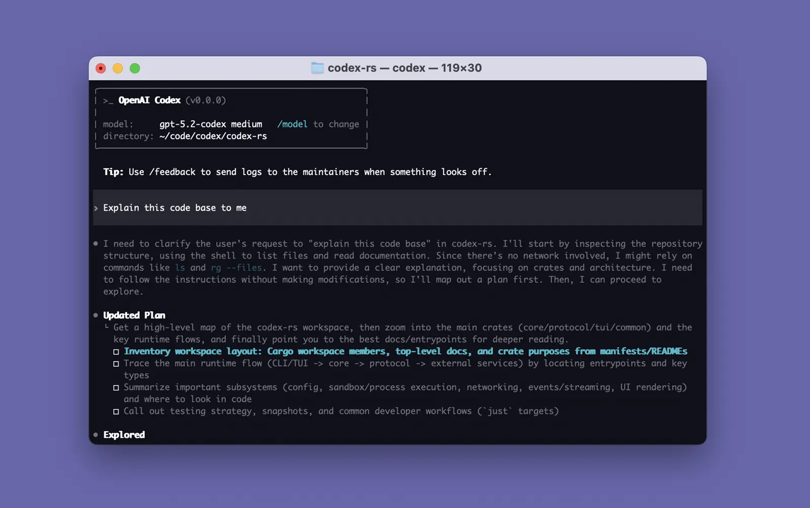 OpenAI Codex CLI 终端窗口的真实启动界面截图